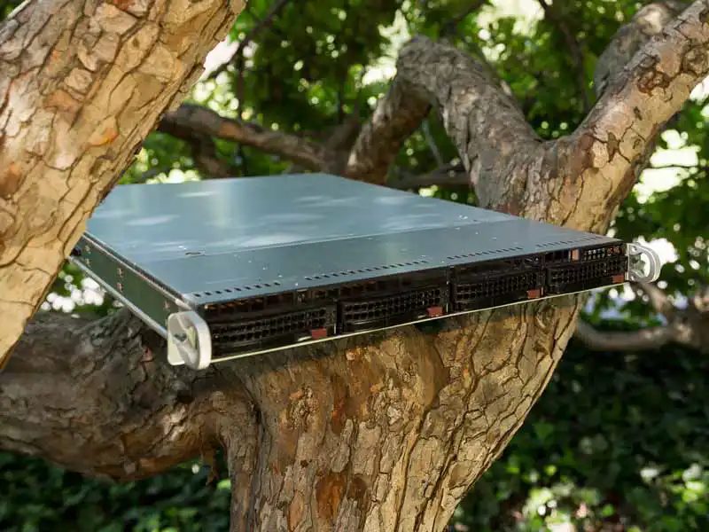 Server on a tree